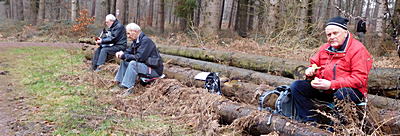 Lunch in het bos