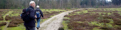 Mooi heidegebied