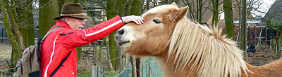 Ontmoeting met een paard
