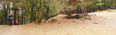Mooie zandduinen