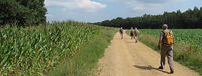 Langs de mais van de Solterheide