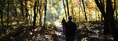 Lopend in het bos