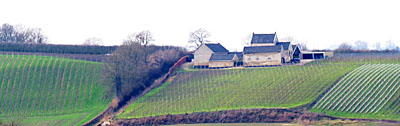 Wijngoed Apostelhoeve