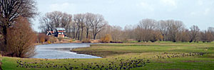 Uiterwaarden langs de Waal