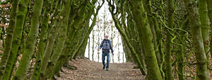 Henk in de Groene Bedstee